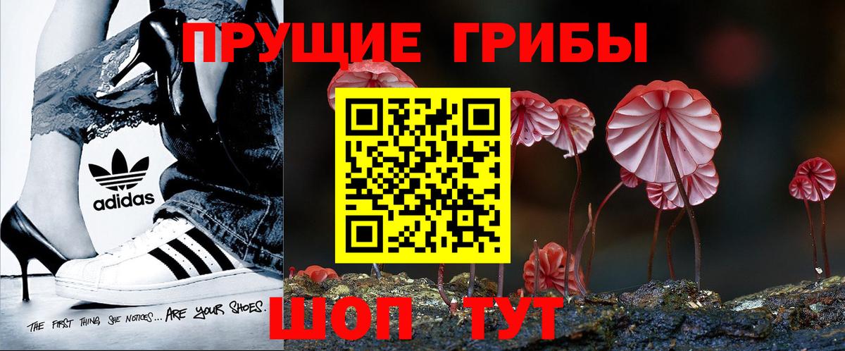 Галлюциногенные грибы Psilocybe Щёкино