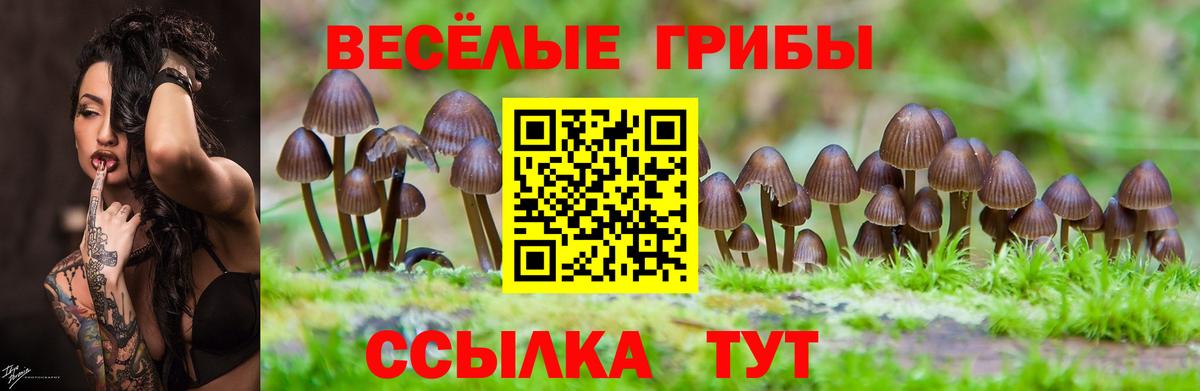 Галлюциногенные грибы GOLDEN TEACHER  Вход с VPN  Псилоцибиновые грибы Cubensis  Щёкино 